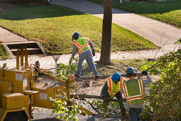 Best Leaf Removal  in Morrow, GA